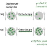 Heilfasten bei Krebs unter Chemotherapie